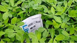 花生膨果期用什么肥料